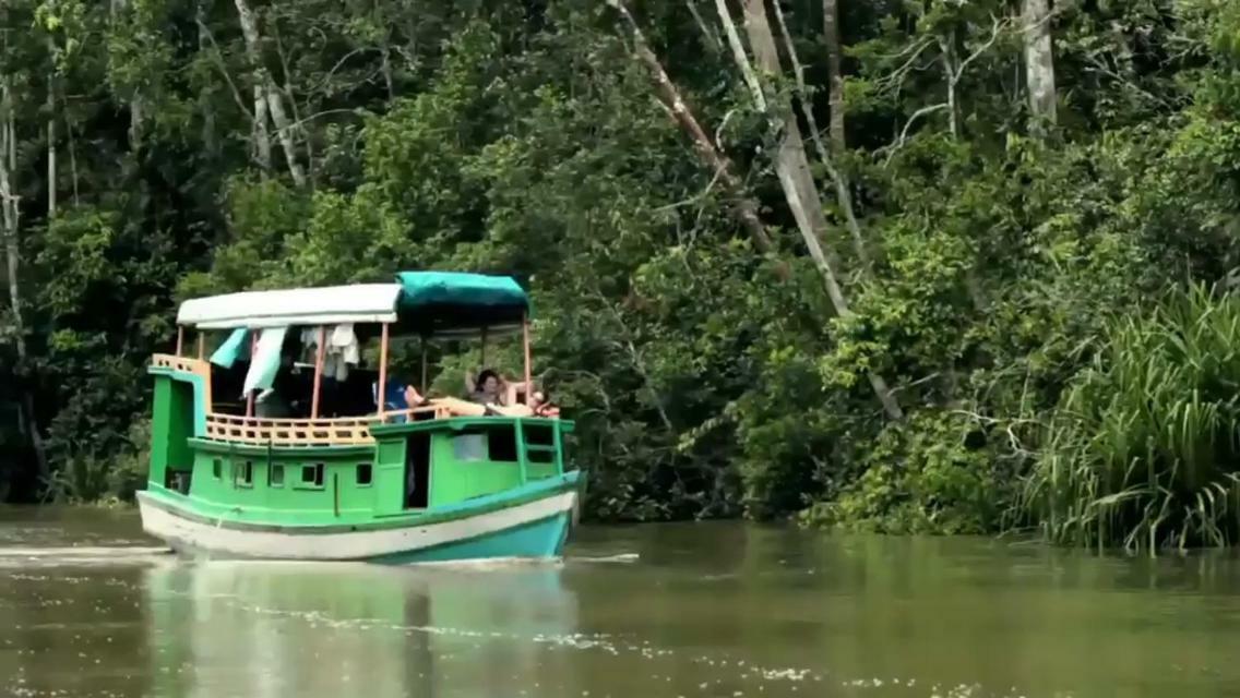 Orangutan Shaka Houseboat With Cabin Pangkalanbuun Exterior foto
