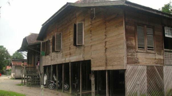 Orangutan Shaka Houseboat With Cabin Pangkalanbuun Exterior foto